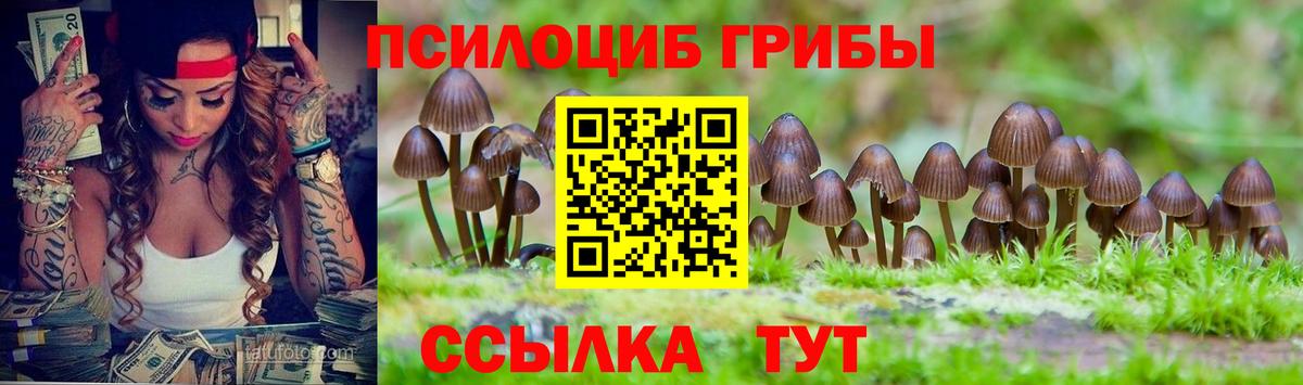 Галлюциногенные грибы Cubensis Артёмовский